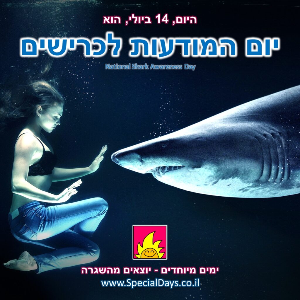 יום המודעות לכרישים: אישה שוחה עם כריש.