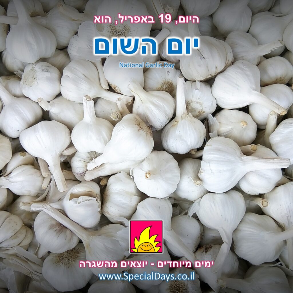 יום השום: פקעות של שום - מריחים?