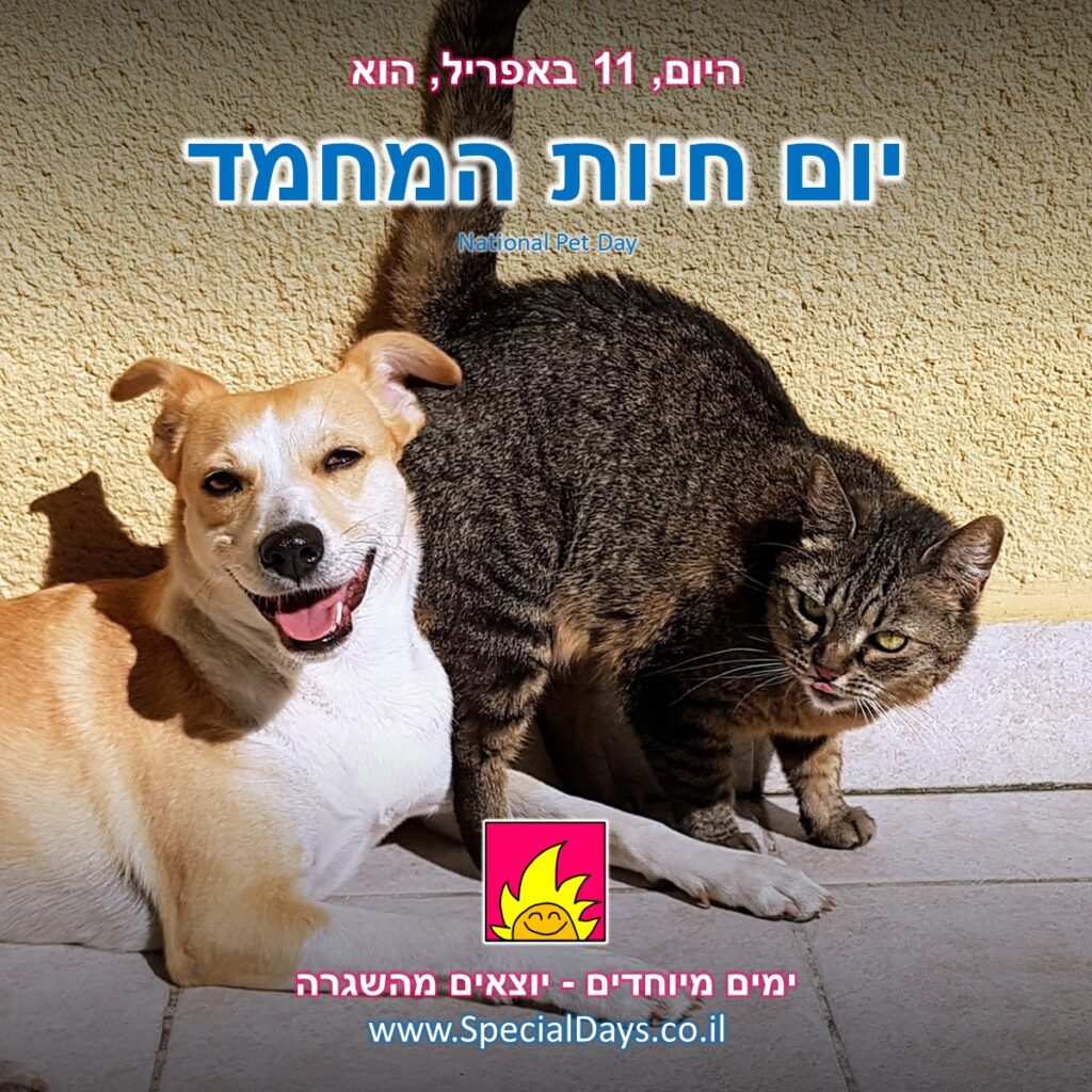 יום חיות המחמד: כלב וחתול.