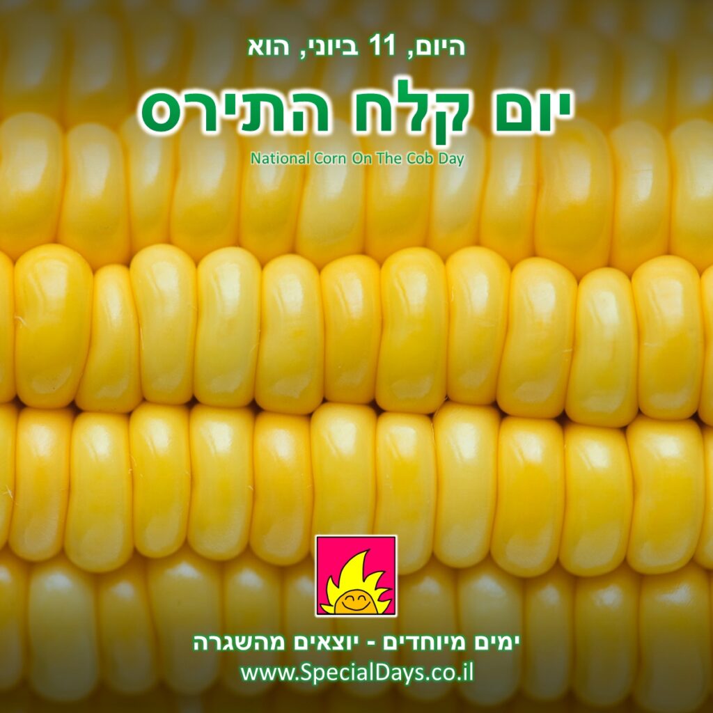 יום קלח התירס: מבט מקרוב על קלח תירס צהבהב, רענן ומתקתק.