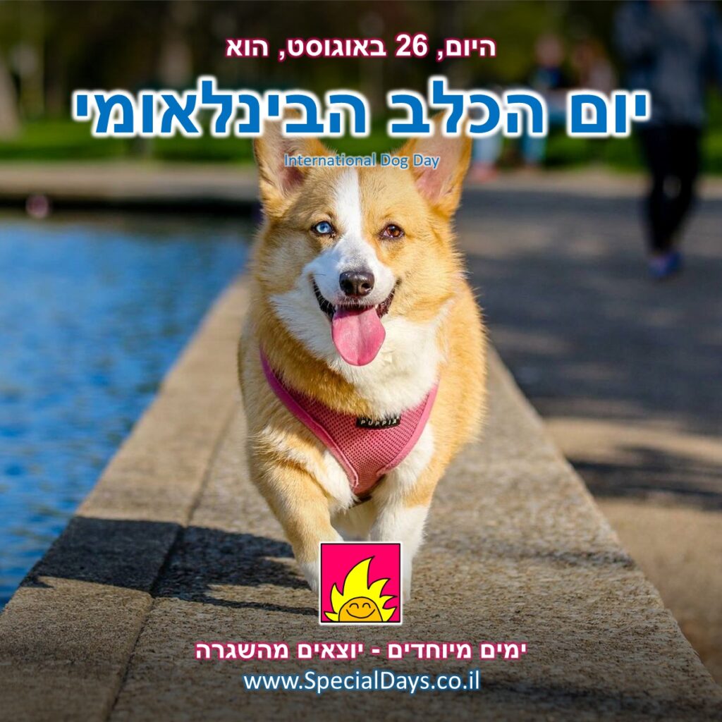 יום הכלב הבינלאומי: כלב מחייך אליכם. איזה ממי!