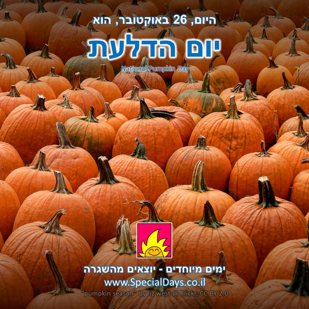 יום הדלעת: דלועים כתומים וטעימים.